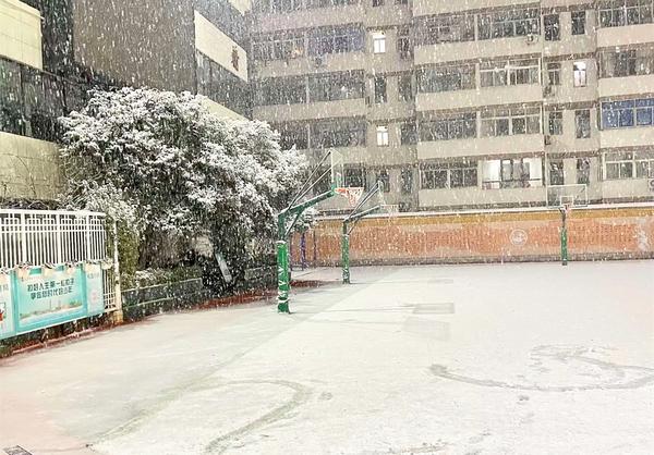 郑州49中雪景 (1)