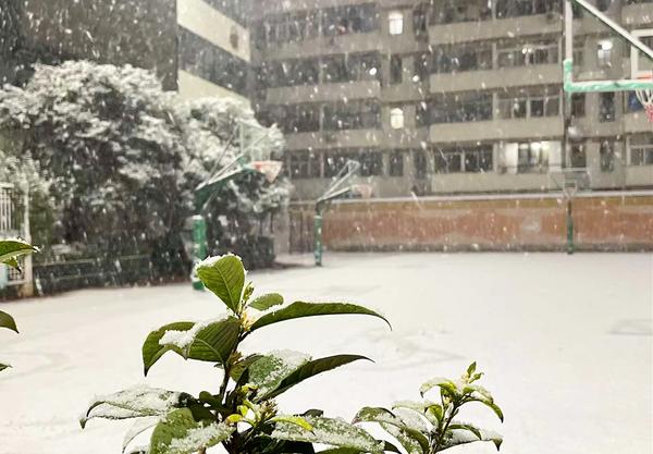 郑州49中雪景 (2)