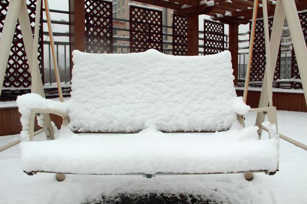 郑州49中雪景 (3)