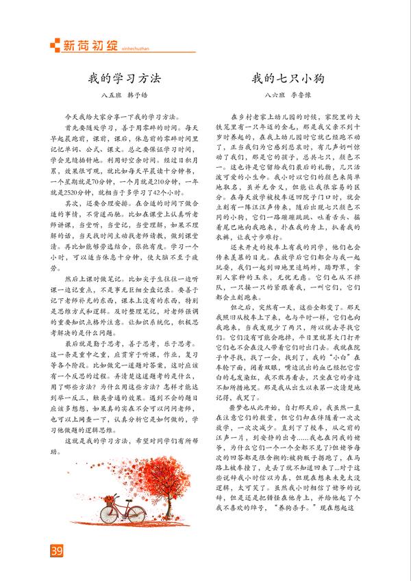 页码 (39) 页码 (39)