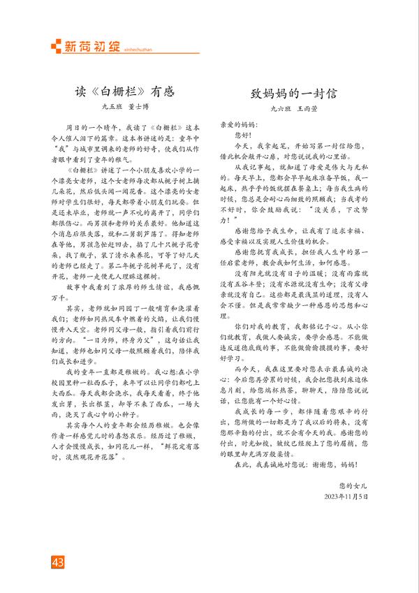 页码 (43) 页码 (43)