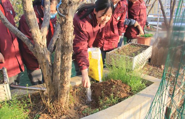 给树木进行施肥