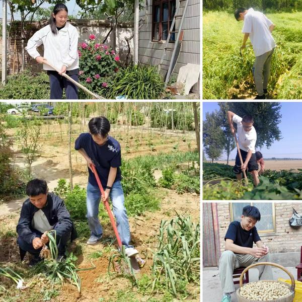 6.农业生产与劳动