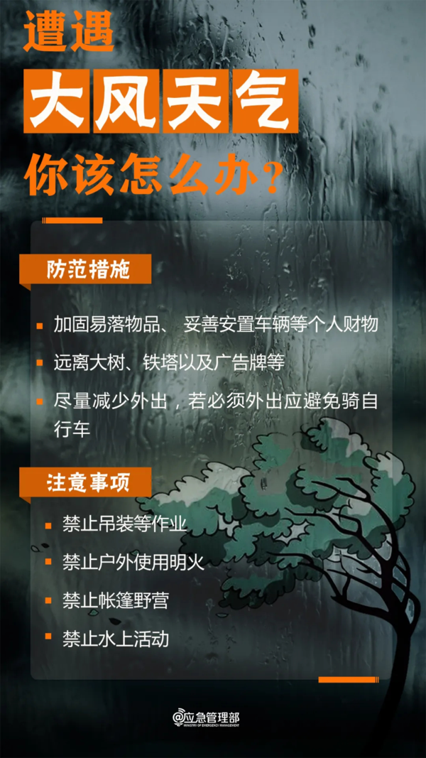 雷雨19
