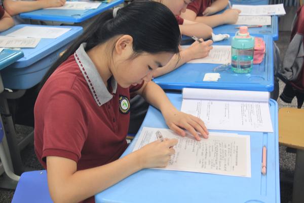 法治安全教育 (10)